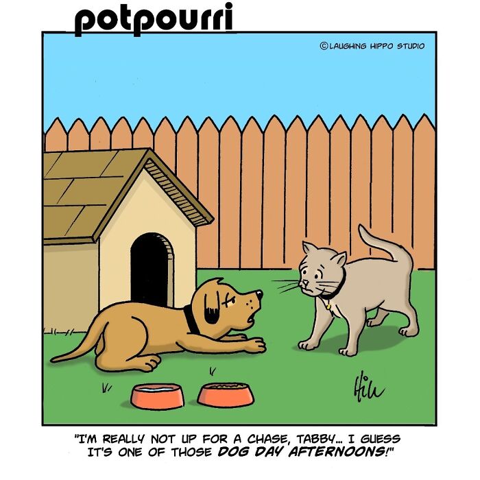 30 Hilarious Comics From Laughing Hippo Studio That Explain What Your Cat Is Really Thinking