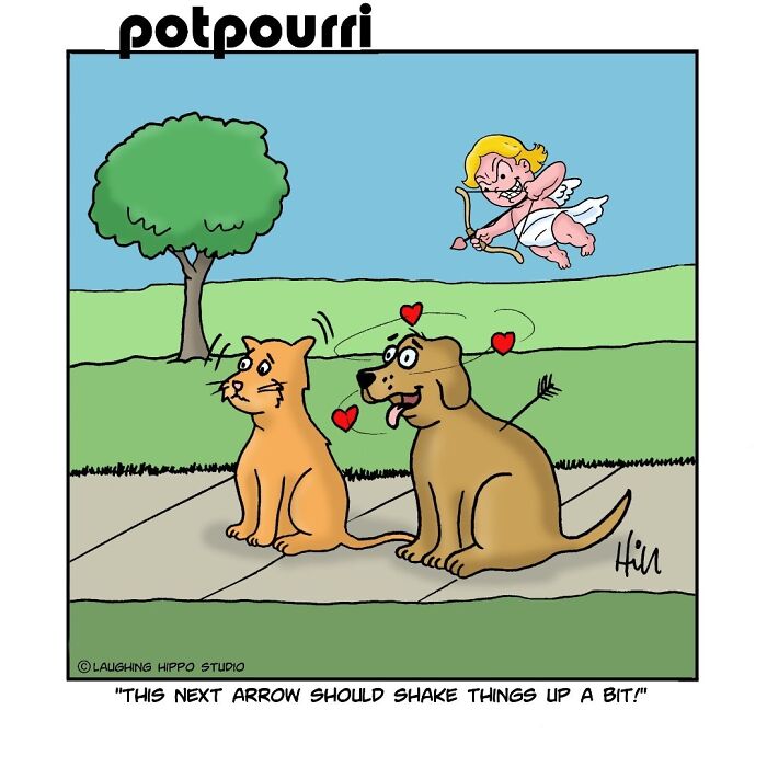 30 Hilarious Comics From Laughing Hippo Studio That Explain What Your Cat Is Really Thinking