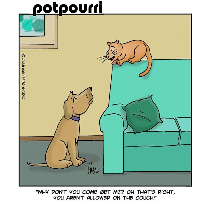 30 Hilarious Comics From Laughing Hippo Studio That Explain What Your Cat Is Really Thinking