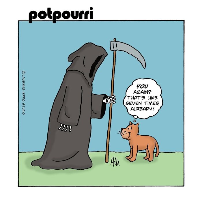 30 Hilarious Comics From Laughing Hippo Studio That Explain What Your Cat Is Really Thinking