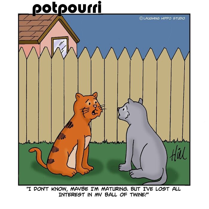 30 Hilarious Comics From Laughing Hippo Studio That Explain What Your Cat Is Really Thinking