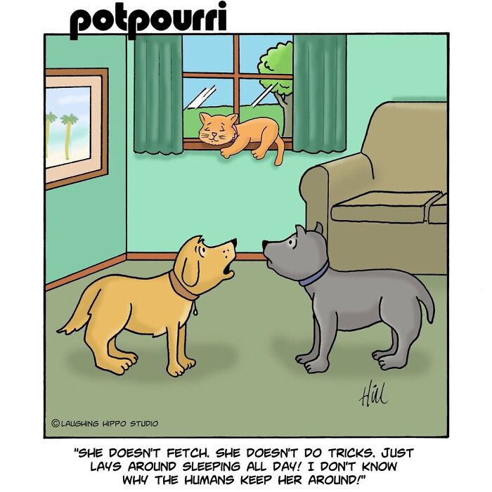 30 Hilarious Comics From Laughing Hippo Studio That Explain What Your Cat Is Really Thinking