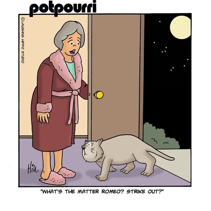 30 Hilarious Comics From Laughing Hippo Studio That Explain What Your Cat Is Really Thinking