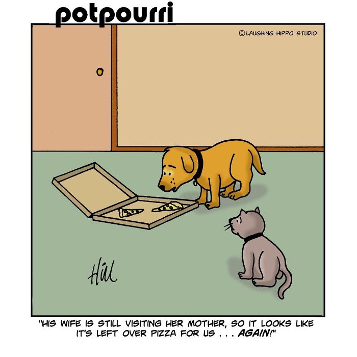 30 Hilarious Comics From Laughing Hippo Studio That Explain What Your Cat Is Really Thinking
