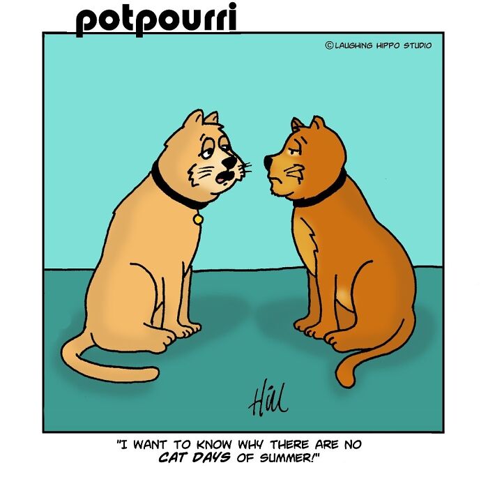 30 Hilarious Comics From Laughing Hippo Studio That Explain What Your Cat Is Really Thinking