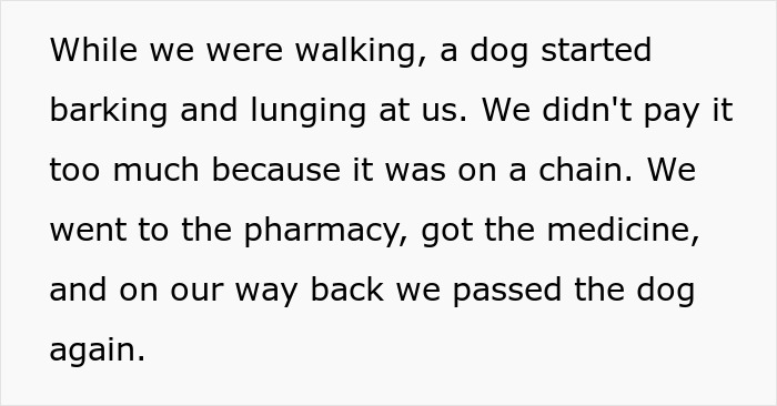 Mom Launches 5YO Over Fence To Escape Vicious Dog, Husband Claims She Endangered The Child