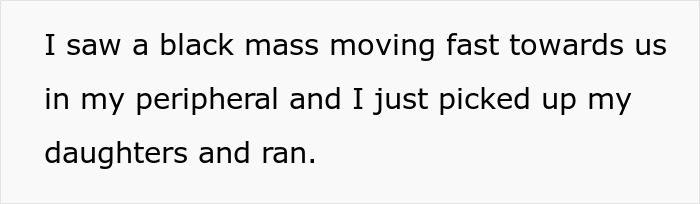 Mom Launches 5YO Over Fence To Escape Vicious Dog, Husband Claims She Endangered The Child
