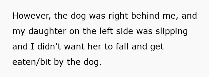 Mom Launches 5YO Over Fence To Escape Vicious Dog, Husband Claims She Endangered The Child