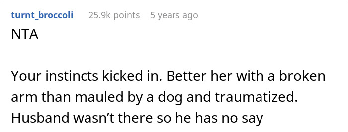 Mom Launches 5YO Over Fence To Escape Vicious Dog, Husband Claims She Endangered The Child
