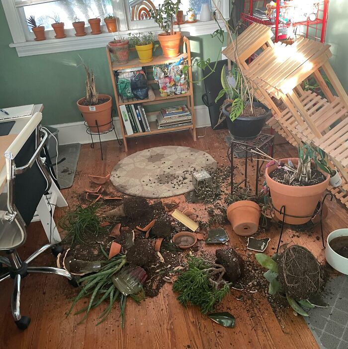 &ldquo;Do I Cry Or Laugh?&rdquo;: If You Think Your Day Is Bad, These 79 People Would Like A Word (New Pics)