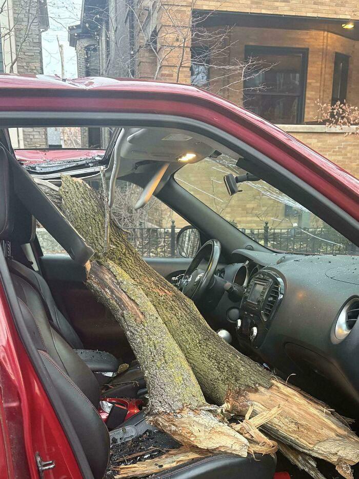 &ldquo;Do I Cry Or Laugh?&rdquo;: If You Think Your Day Is Bad, These 79 People Would Like A Word (New Pics)