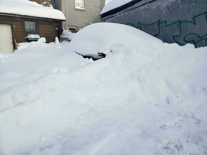 &ldquo;Do I Cry Or Laugh?&rdquo;: If You Think Your Day Is Bad, These 79 People Would Like A Word (New Pics)