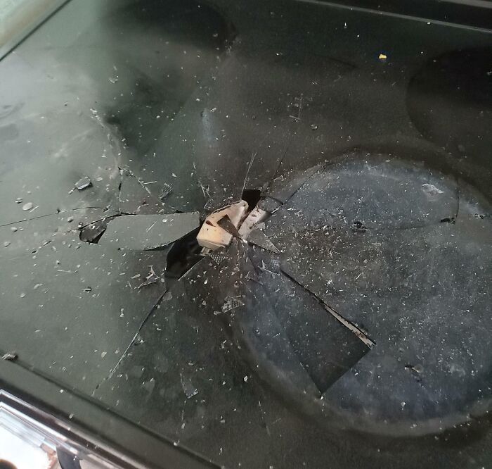 &ldquo;Do I Cry Or Laugh?&rdquo;: If You Think Your Day Is Bad, These 79 People Would Like A Word (New Pics)