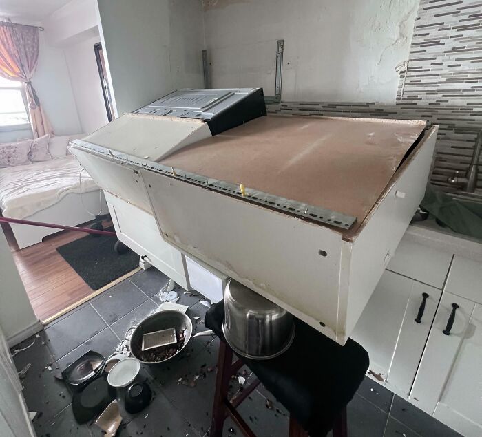 &ldquo;Do I Cry Or Laugh?&rdquo;: If You Think Your Day Is Bad, These 79 People Would Like A Word (New Pics)