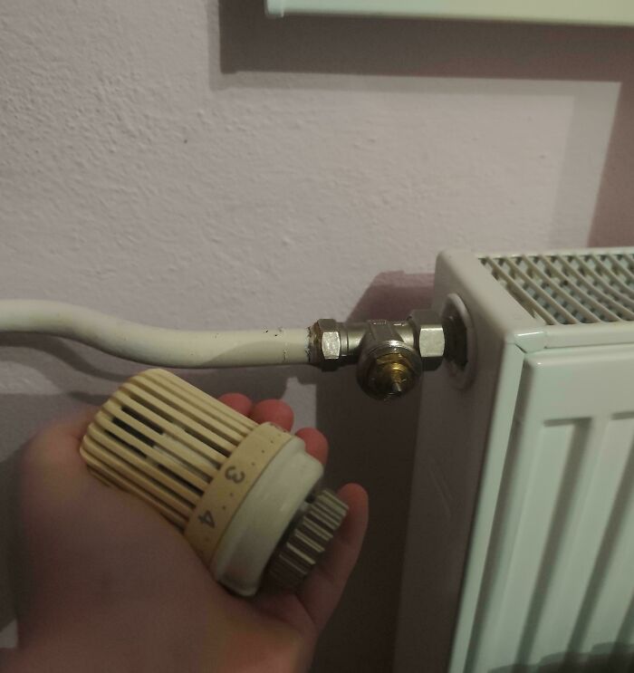 &ldquo;Do I Cry Or Laugh?&rdquo;: If You Think Your Day Is Bad, These 79 People Would Like A Word (New Pics)