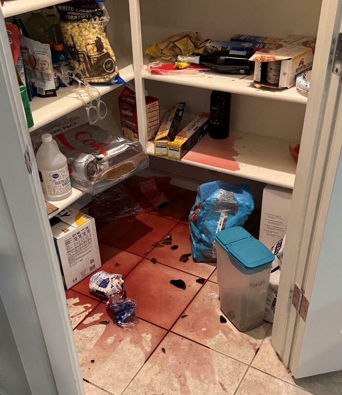 &ldquo;Do I Cry Or Laugh?&rdquo;: If You Think Your Day Is Bad, These 79 People Would Like A Word (New Pics)