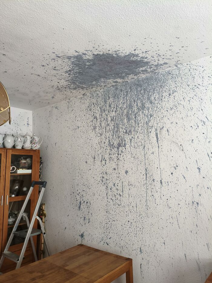 &ldquo;Do I Cry Or Laugh?&rdquo;: If You Think Your Day Is Bad, These 79 People Would Like A Word (New Pics)