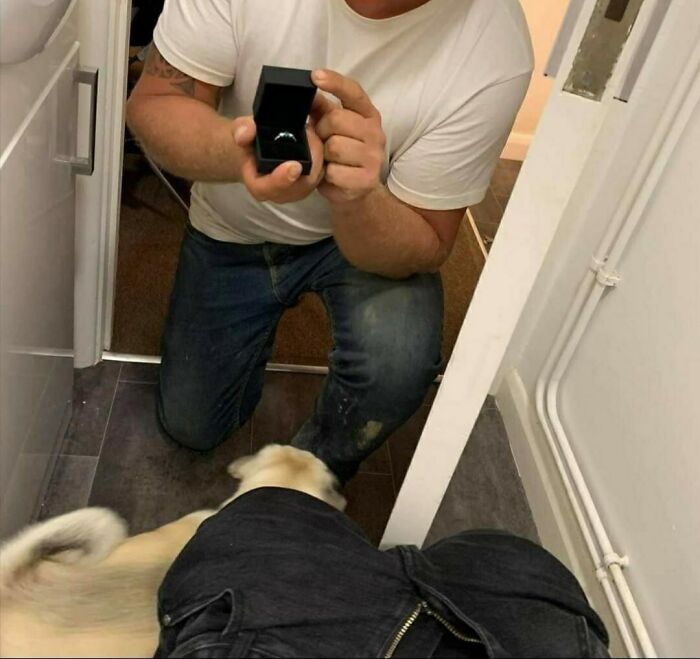 43 Marriage Proposals So Cringeworthy, Even The Ring Couldn&rsquo;t Save Them