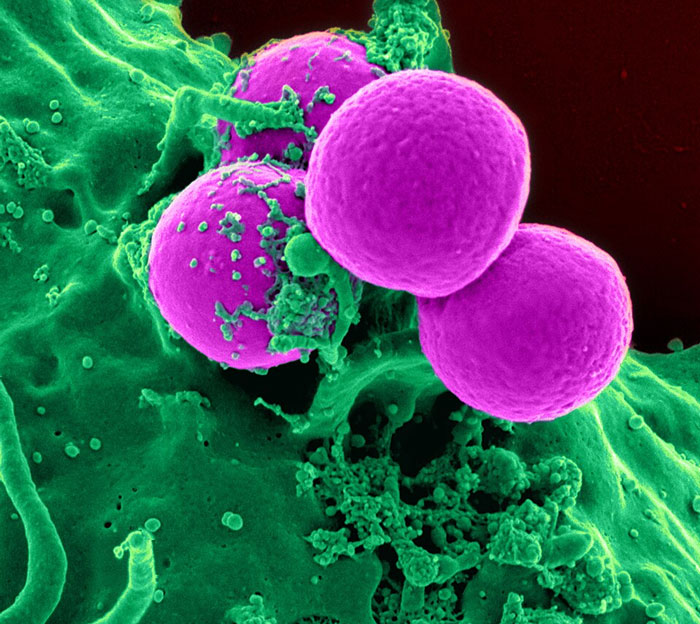 37 Doctors Share Which Diseases Should Scare People More Than They Do