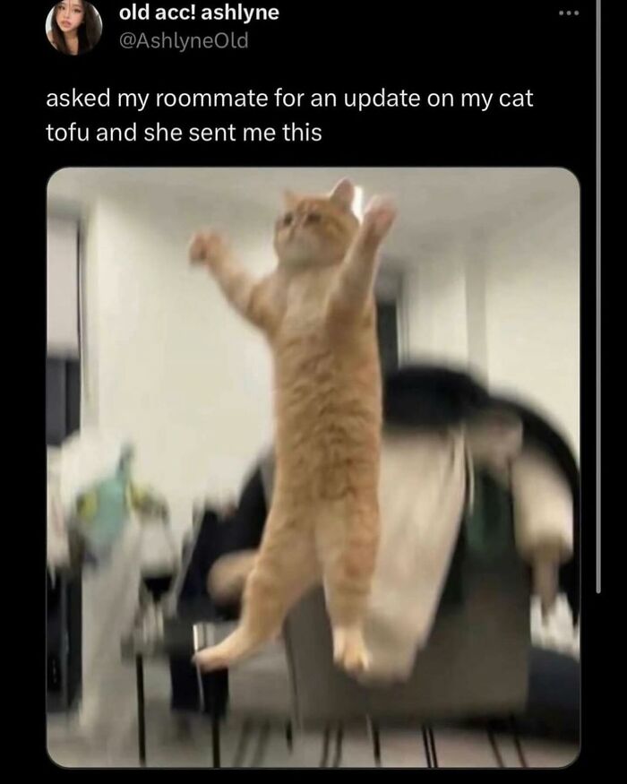 85 Unhinged And Wild Posts That Might Make You Think “Wait, What?”