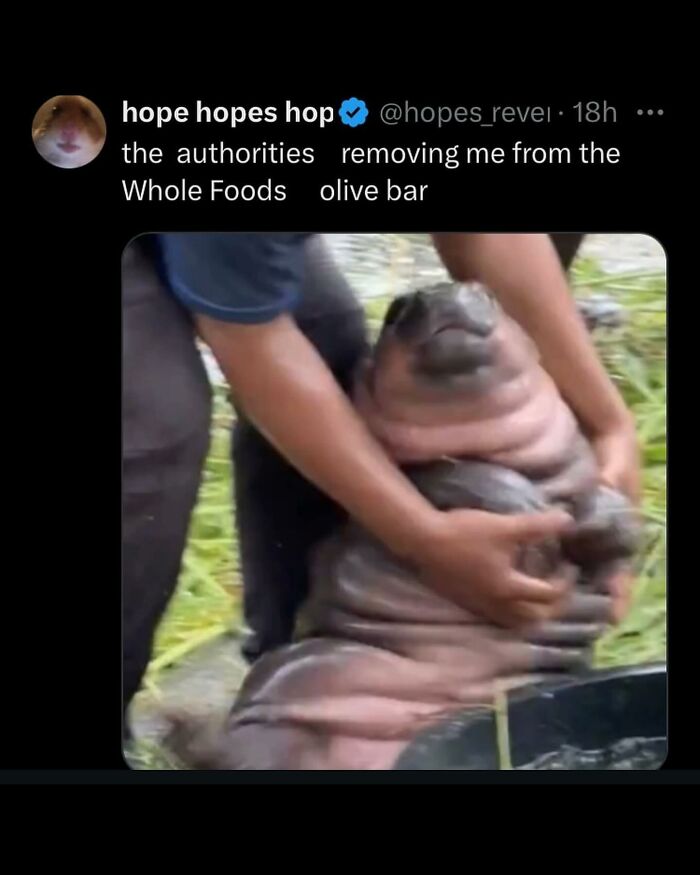 85 Unhinged And Wild Posts That Might Make You Think “Wait, What?”