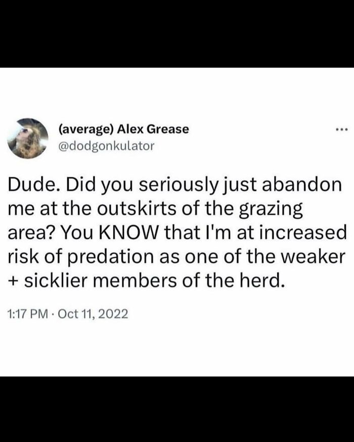 85 Unhinged And Wild Posts That Might Make You Think “Wait, What?”