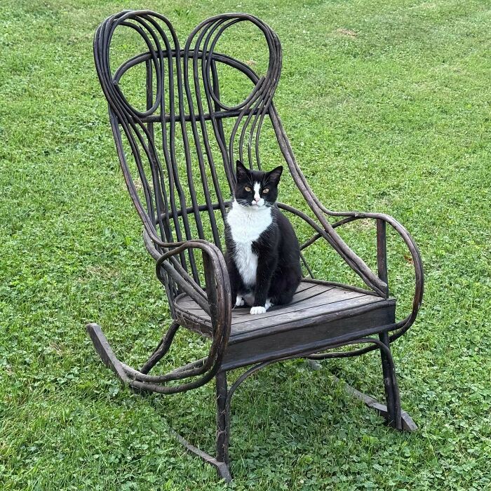 69 Of The Coolest And Most Interesting Antiques That Folks Scored In Their Lives