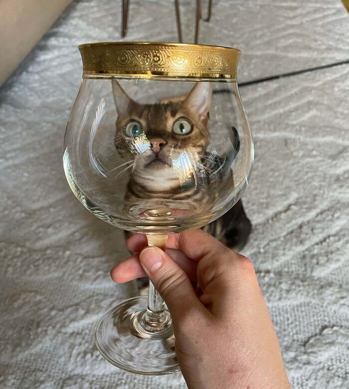 69 Of The Coolest And Most Interesting Antiques That Folks Scored In Their Lives