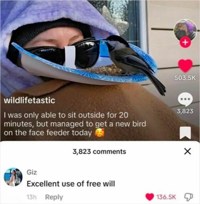 83 Funny Times People Invented Sentences No One Has Ever Heard Before And Won Internet Points