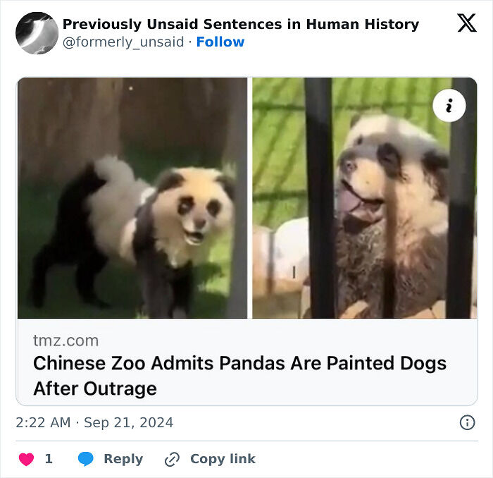 83 Funny Times People Invented Sentences No One Has Ever Heard Before And Won Internet Points