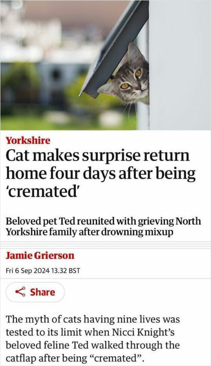 83 Funny Times People Invented Sentences No One Has Ever Heard Before And Won Internet Points