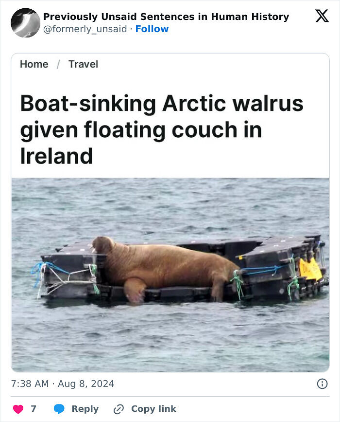 83 Funny Times People Invented Sentences No One Has Ever Heard Before And Won Internet Points