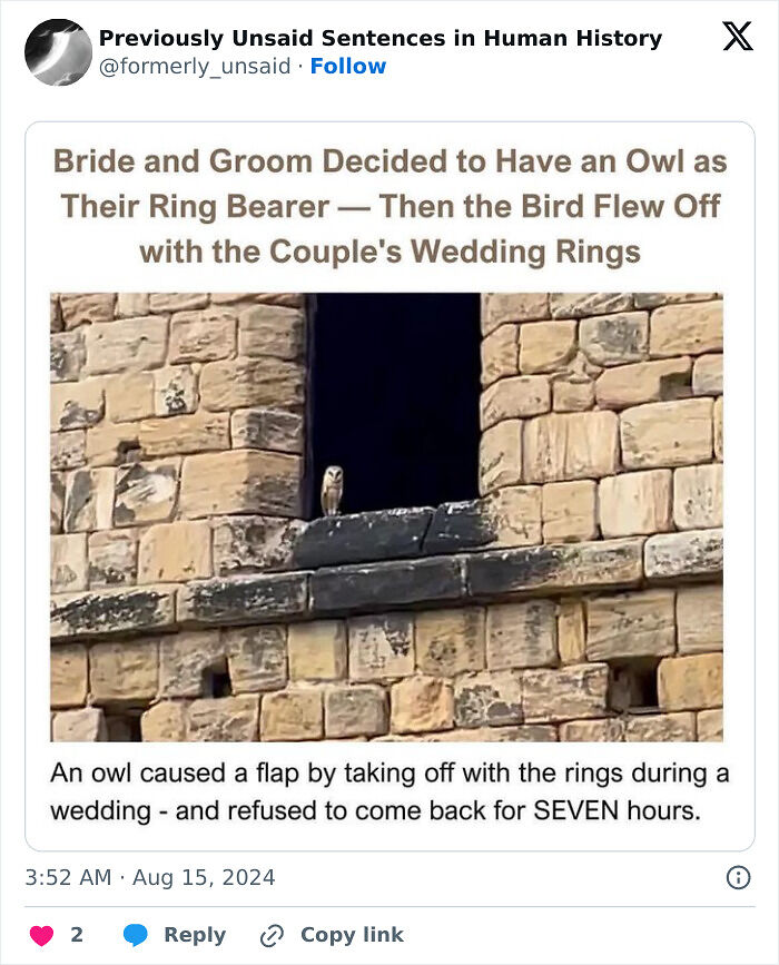 83 Funny Times People Invented Sentences No One Has Ever Heard Before And Won Internet Points