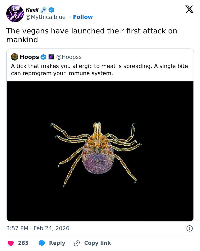 83 Funny Times People Invented Sentences No One Has Ever Heard Before And Won Internet Points