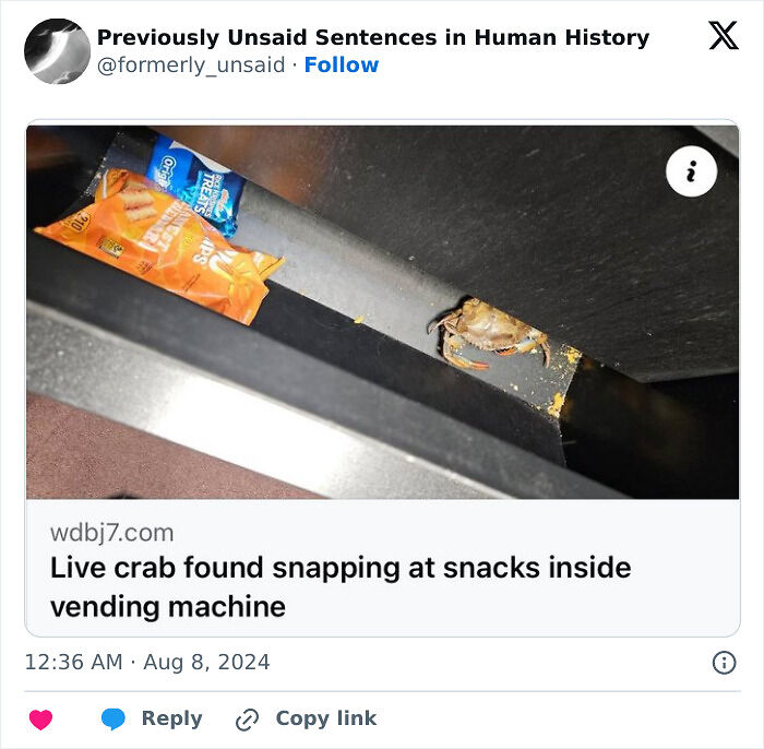 83 Funny Times People Invented Sentences No One Has Ever Heard Before And Won Internet Points