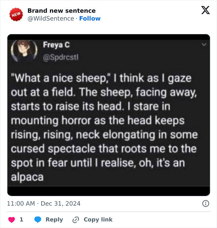 83 Funny Times People Invented Sentences No One Has Ever Heard Before And Won Internet Points