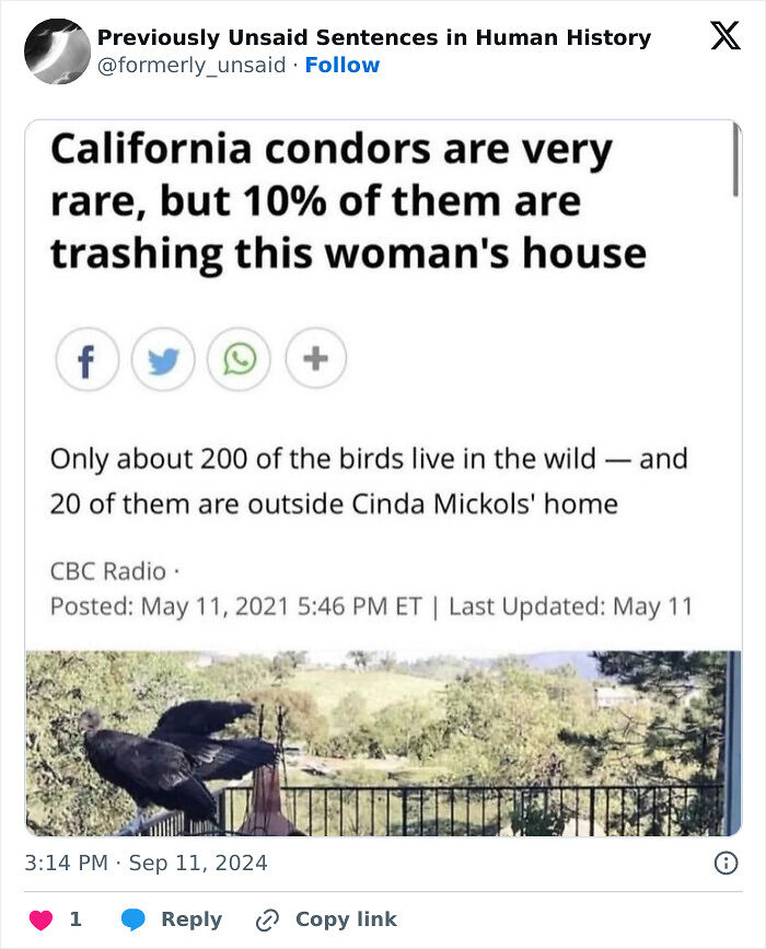 83 Funny Times People Invented Sentences No One Has Ever Heard Before And Won Internet Points