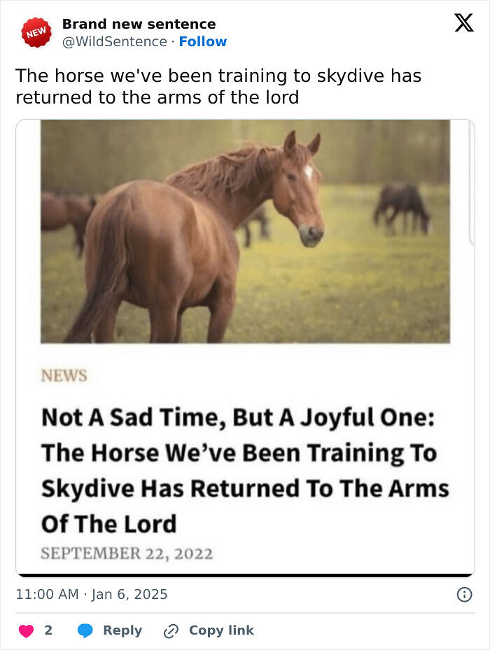 83 Funny Times People Invented Sentences No One Has Ever Heard Before And Won Internet Points