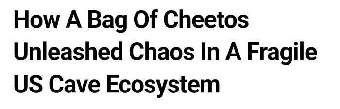 83 Funny Times People Invented Sentences No One Has Ever Heard Before And Won Internet Points