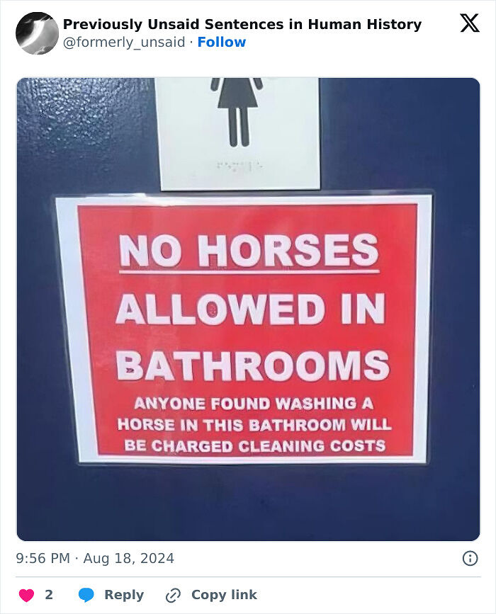 83 Funny Times People Invented Sentences No One Has Ever Heard Before And Won Internet Points