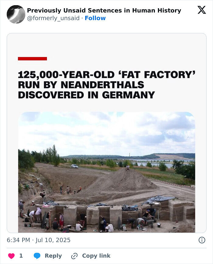 83 Funny Times People Invented Sentences No One Has Ever Heard Before And Won Internet Points