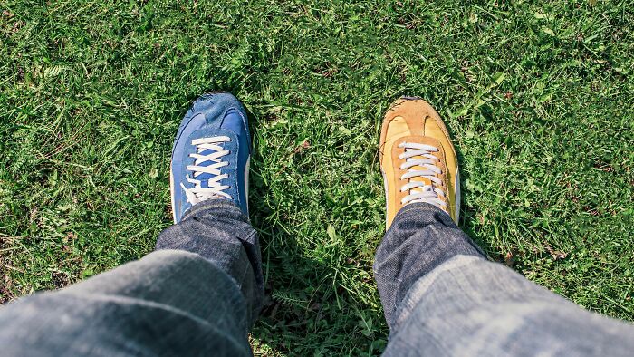 Only The Most Clever Folks Will Know The Difference Between All 30 Commonly Confused Items