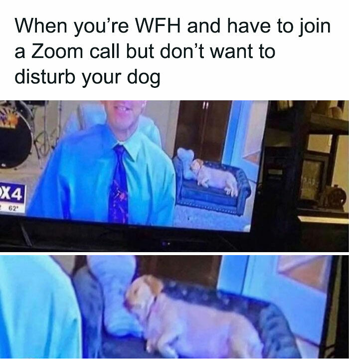 61 Posts From &ldquo;White Collar Humor&rdquo; That You Might Chuckle At From Your Cubicle