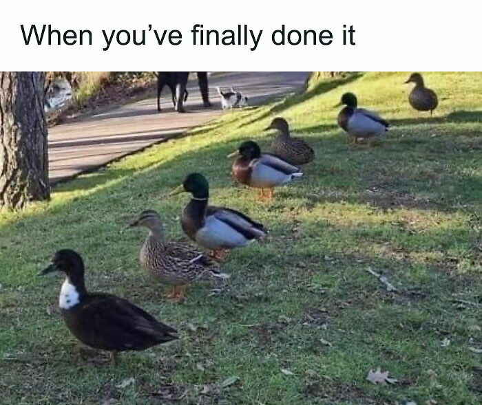 61 Posts From &ldquo;White Collar Humor&rdquo; That You Might Chuckle At From Your Cubicle