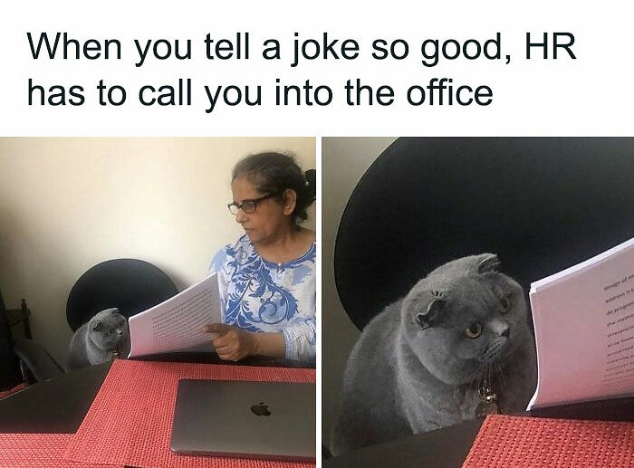 61 Posts From &ldquo;White Collar Humor&rdquo; That You Might Chuckle At From Your Cubicle
