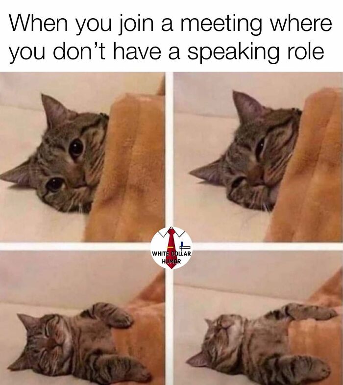 61 Posts From &ldquo;White Collar Humor&rdquo; That You Might Chuckle At From Your Cubicle