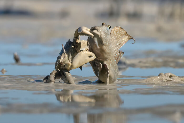 TPOTY 2025 Winners Announced: 38 Stunning Travel Photos From Around the World