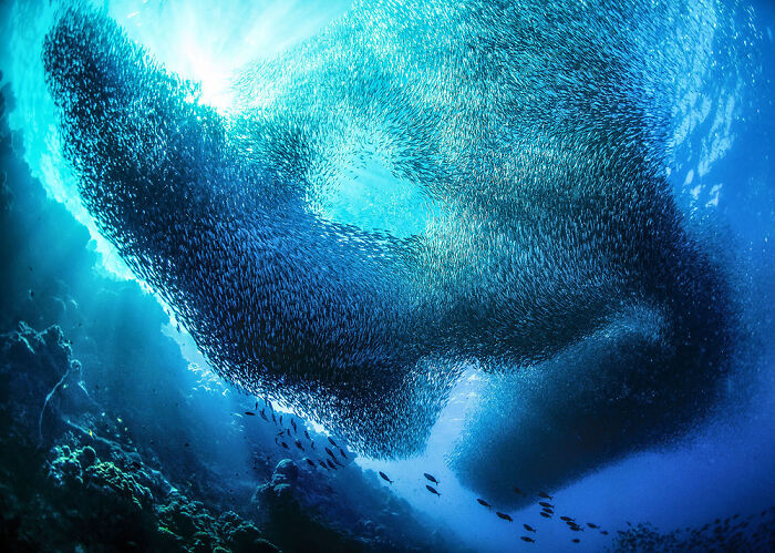 TPOTY 2025 Winners Announced: 38 Stunning Travel Photos From Around the World