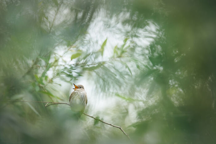 TPOTY 2025 Winners Announced: 38 Stunning Travel Photos From Around the World