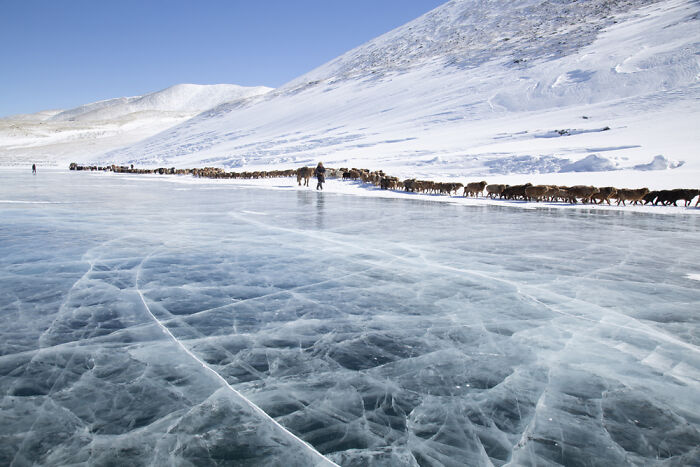TPOTY 2025 Winners Announced: 38 Stunning Travel Photos From Around the World
